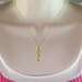 18K Vermeil Sea Horse Charm Necklace in 14K gold filled Chain -
