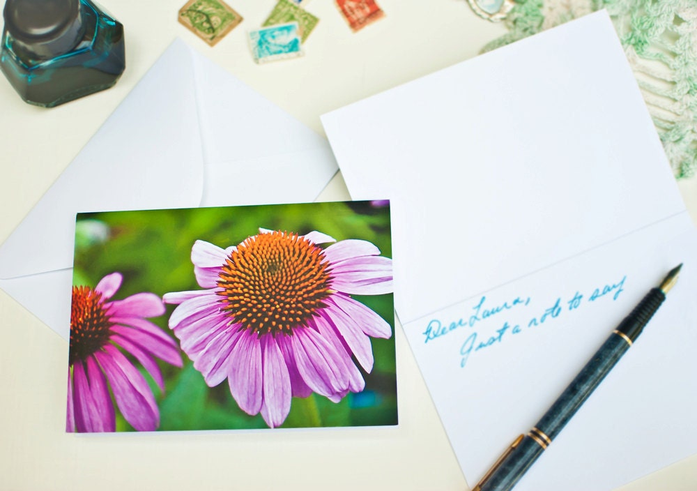 Photo Greeting Card - Purple Coneflower