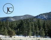 Signed 8x10 Print Trees Mountains Landscape Colorado New Mexico Trees Southwest Grass Blue Sky Green Brown Snow Brown Rockies