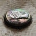 Antique Abalone Cameo Carved Shell Brooch Pendant Free US Shipping