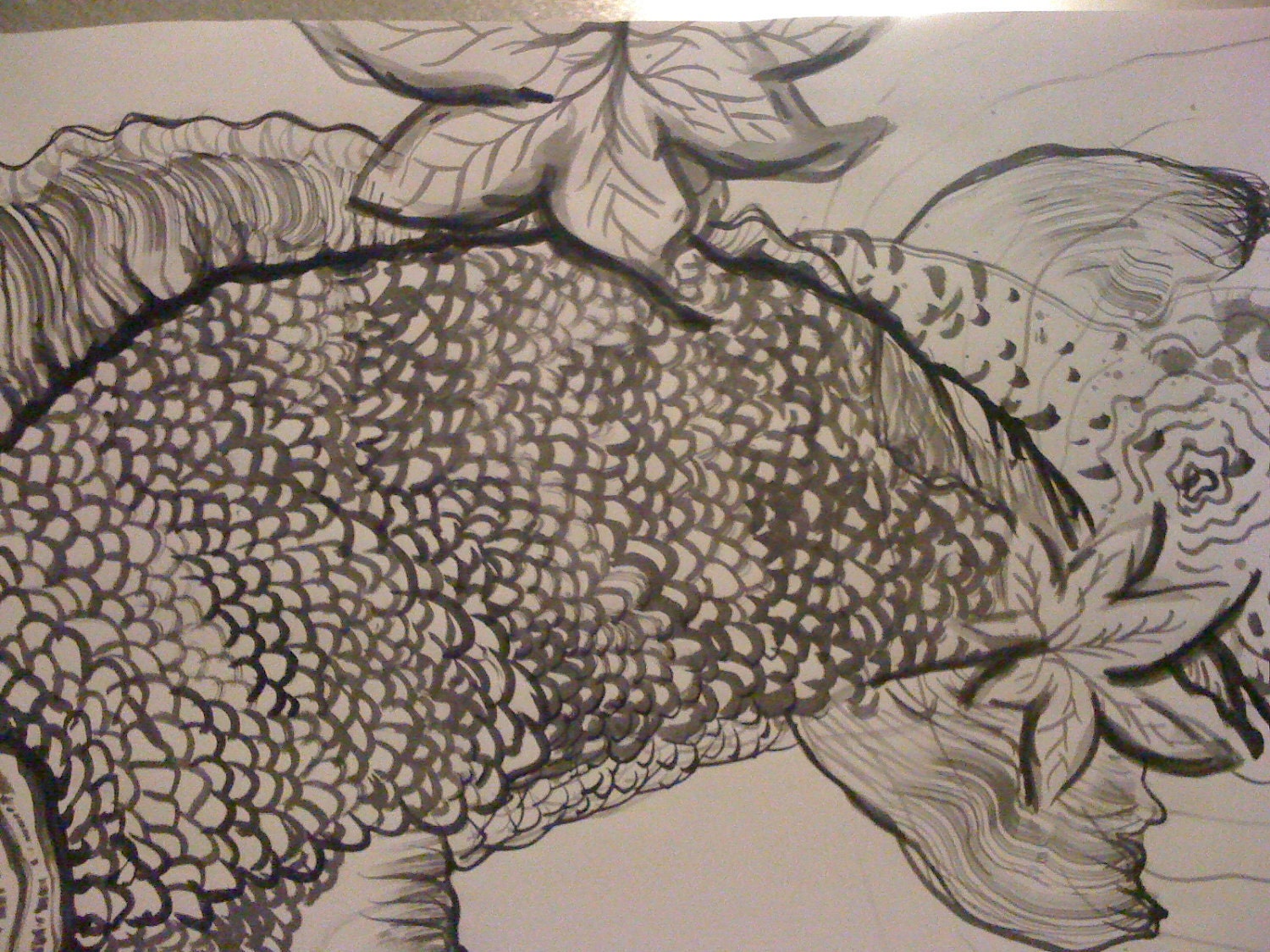 India Ink - Koi in frame - Original