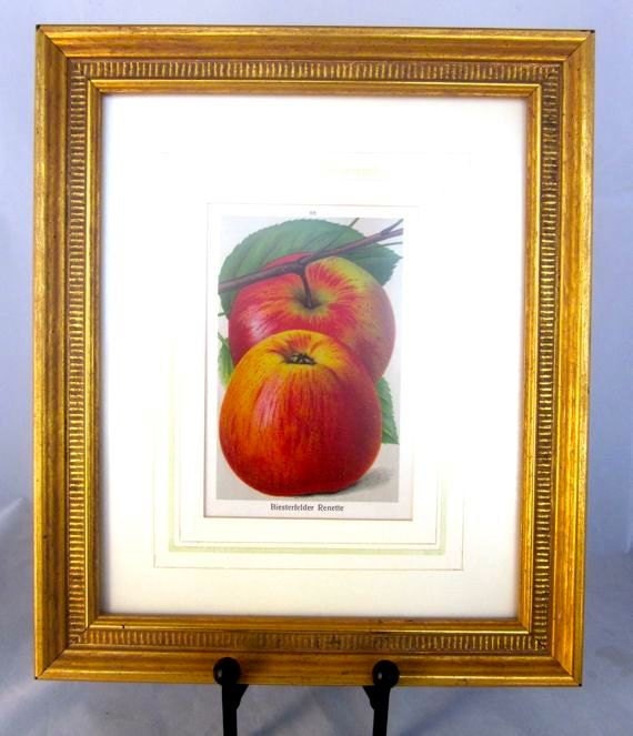 Vintage Red Apples Art Picture Framed