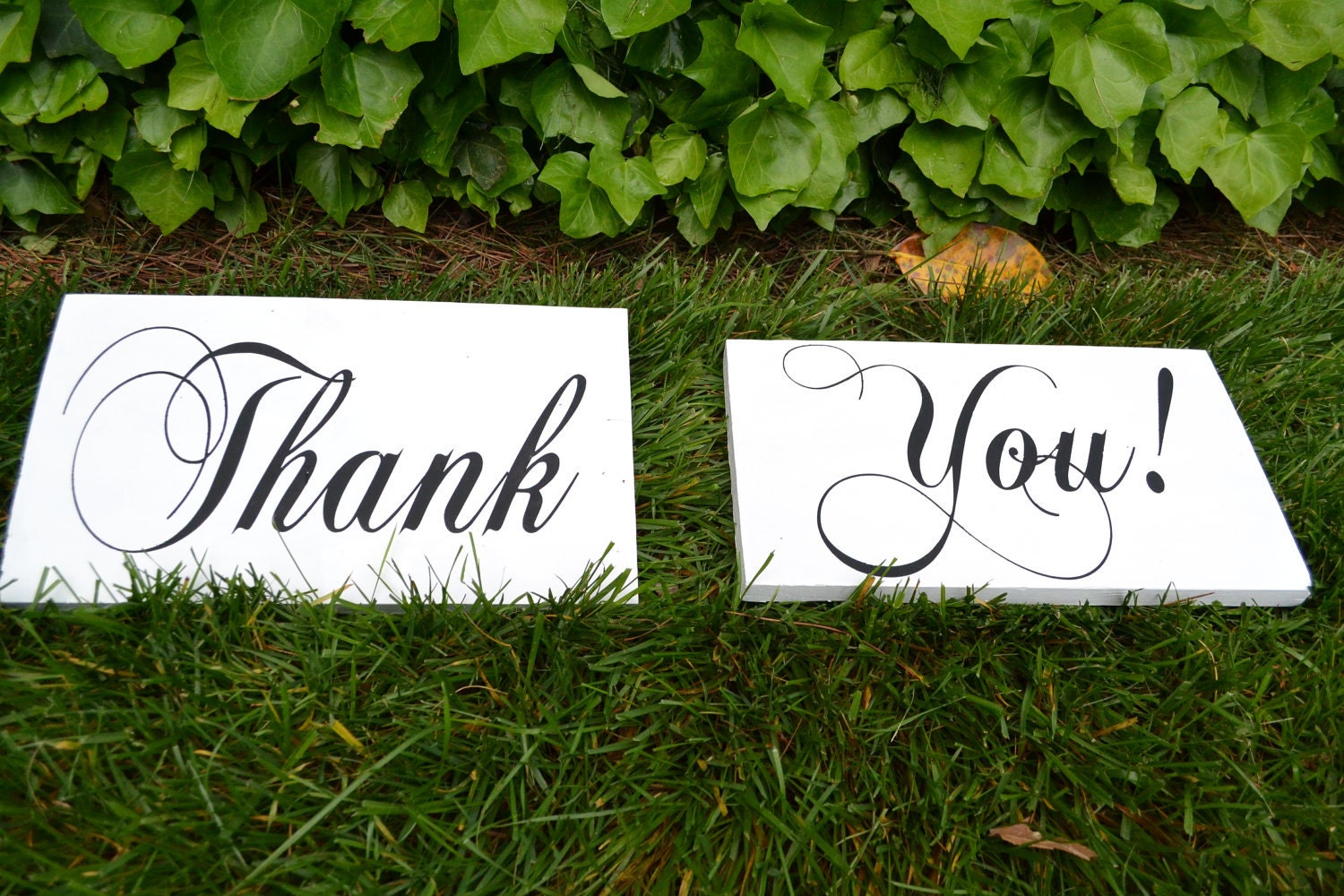 Thank You Signs for Photos