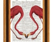 Flamingos print,  vintage illustration Dictionary art prints Upcycled Book page Upcycled Dictionary page Art Print