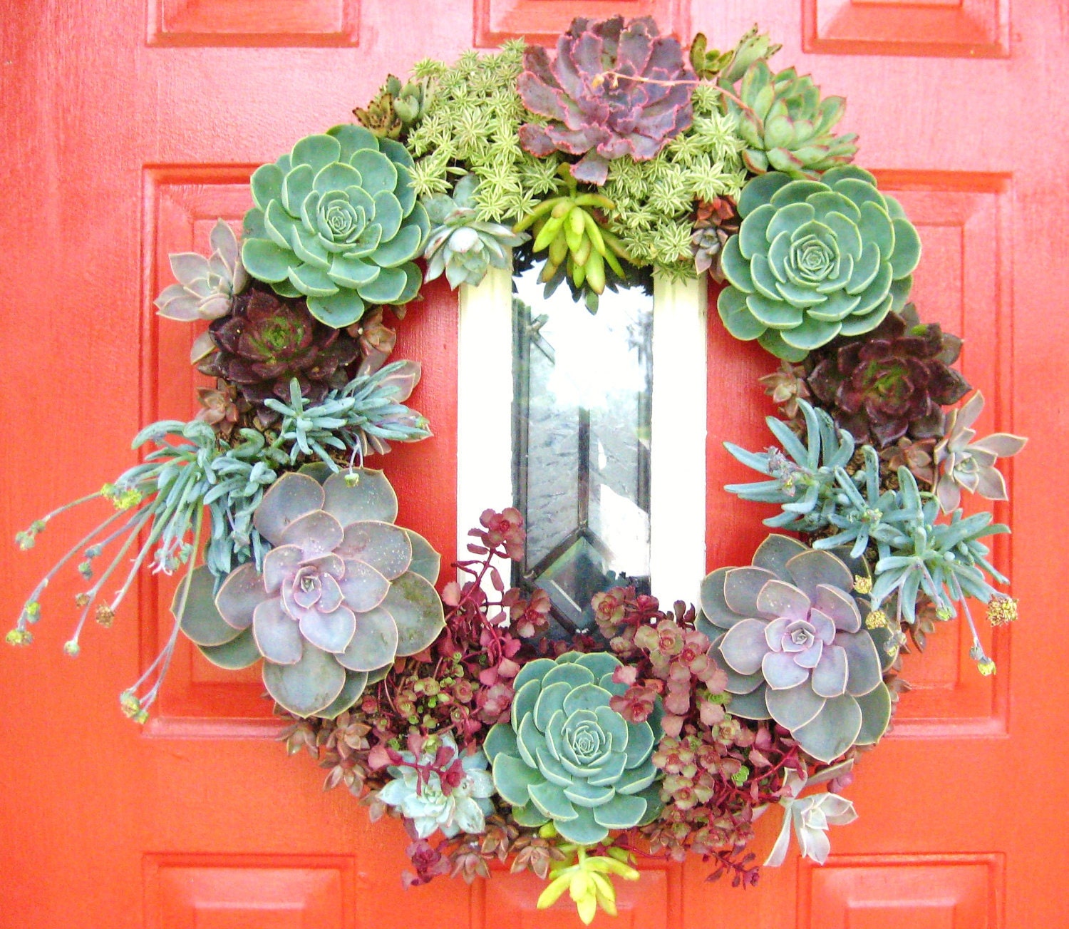 Special Listing for Michelle 12 inch Succulent Living Wreath and MORE Perfect Unique Decor Gift FACEBOOK SPECIAL