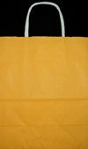 Orange Sherbert Paper Gift Bag with White Paper Handles
