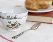 SALE - Vintage French Cafe au Lait bowls - Birds and Cherries - Set of 2 - by F.D. Chauvigny - Was 82.00 now 62.00