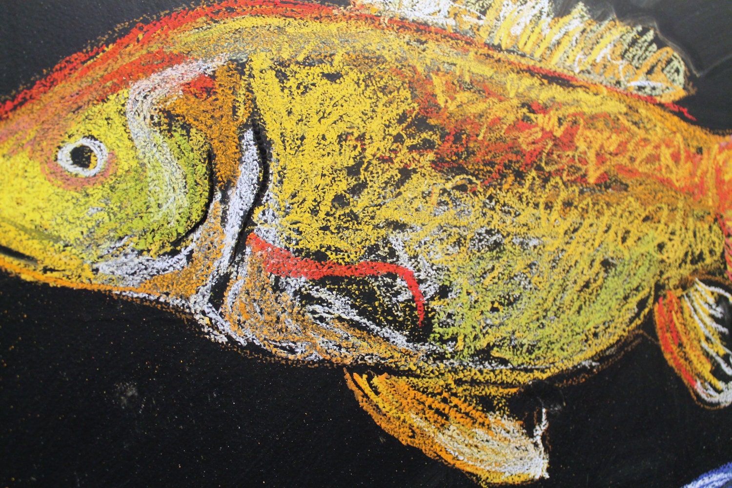 11x14 Limited Edition Chalkboard Drawing Print--January 2012