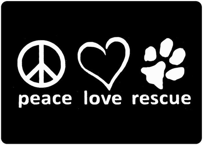 Dog Rescue Decal - Adopt a Dog Vinyl Decal - Dog Lover Window Sticker- Animal Rescue