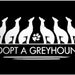 Adopt A Greyhound Vinyl Decal- Dog Lover Greyhound Vinyl Decal - Car Window Decal - Greyhound Bumper Sticker