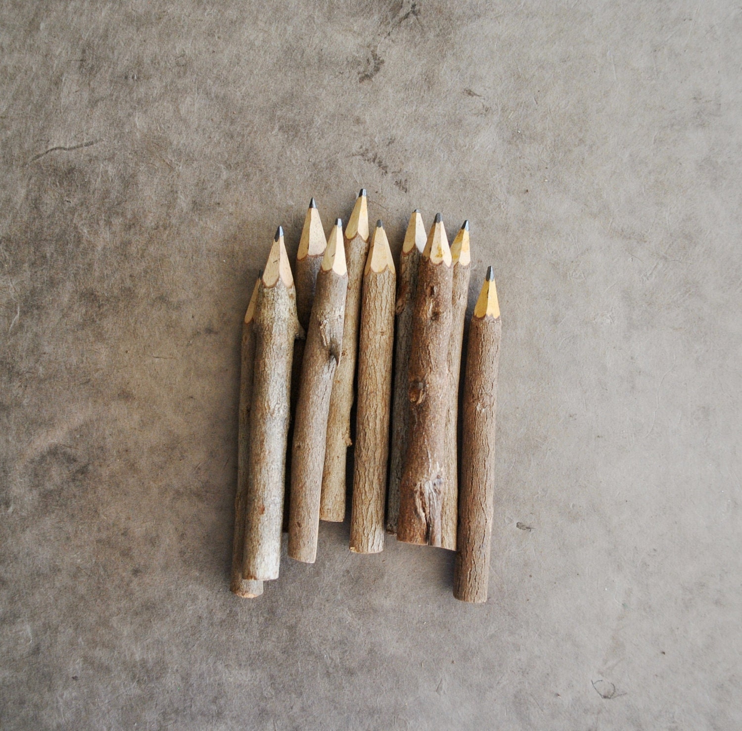 mini twig pencils - 4" (10 pencils)