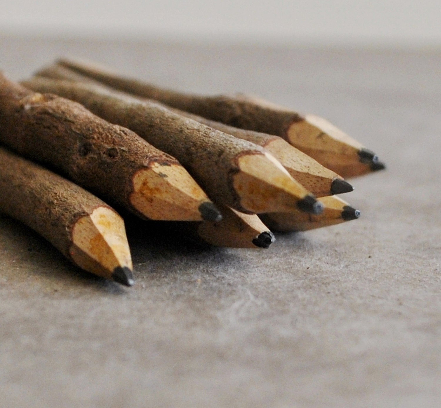 mini twig pencils - 4" (10 pencils)
