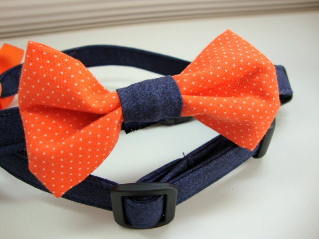 Florida Gators or Denver Broncos Dog Collar Medium with a Bow Tie