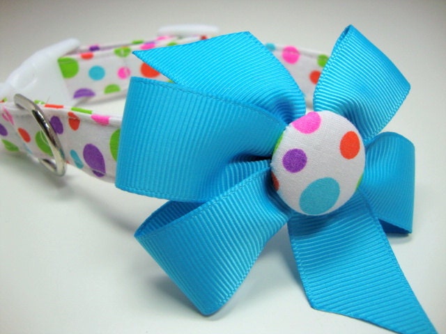 Spring Bold Multi Colored Dots Dog Collars Medium