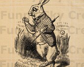 Alice In Wonderland White Rabbit Children Book - Burlap Digital Download Paper Image Transfer To Cushions Pillows Tote Bag Tea Towels b377