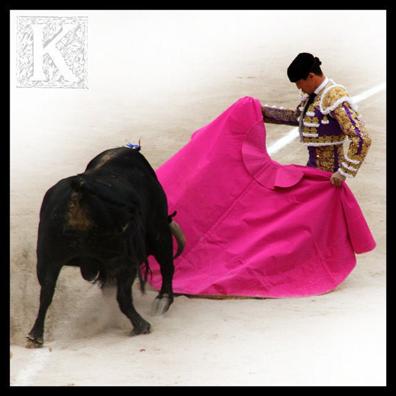 Kneeling before the bull - Signed photo 8 x 8 - BOGO sale - bullfight torero matador bull pink purple bullfighting folklore