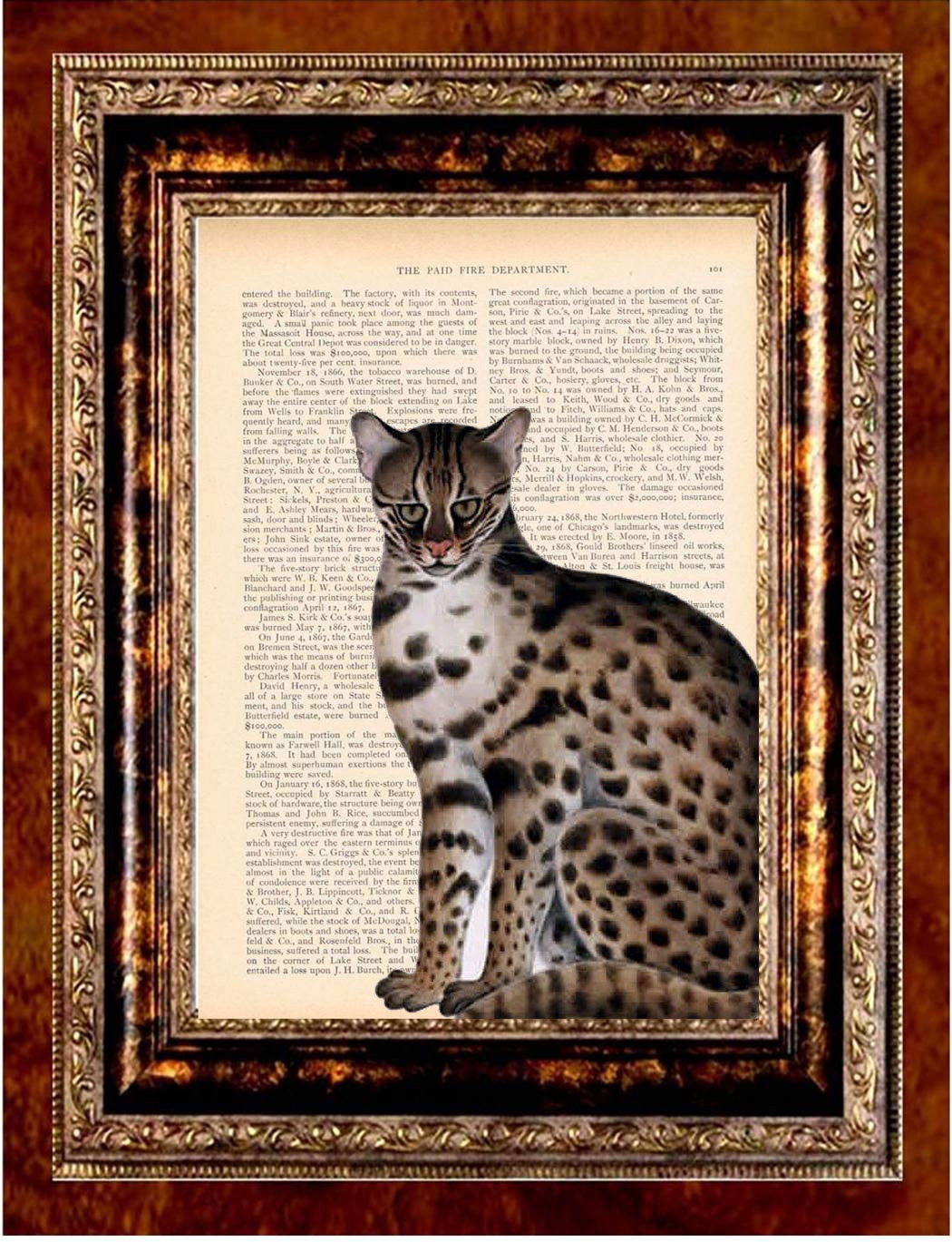 LYNX Vintage Art Print Antique 1800's Book Page or Dictionary Page Upcycled Recycled
