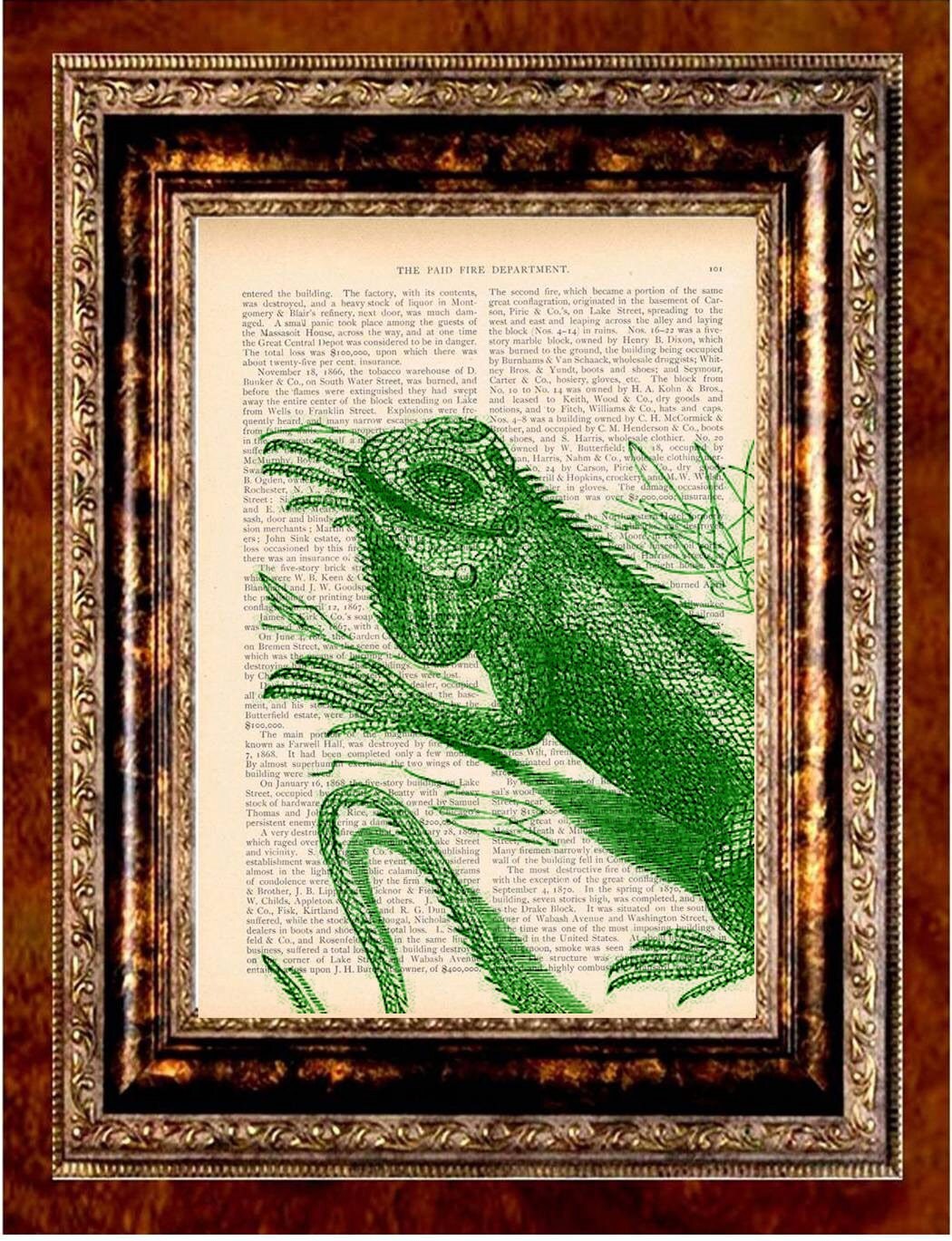 iguana vintage