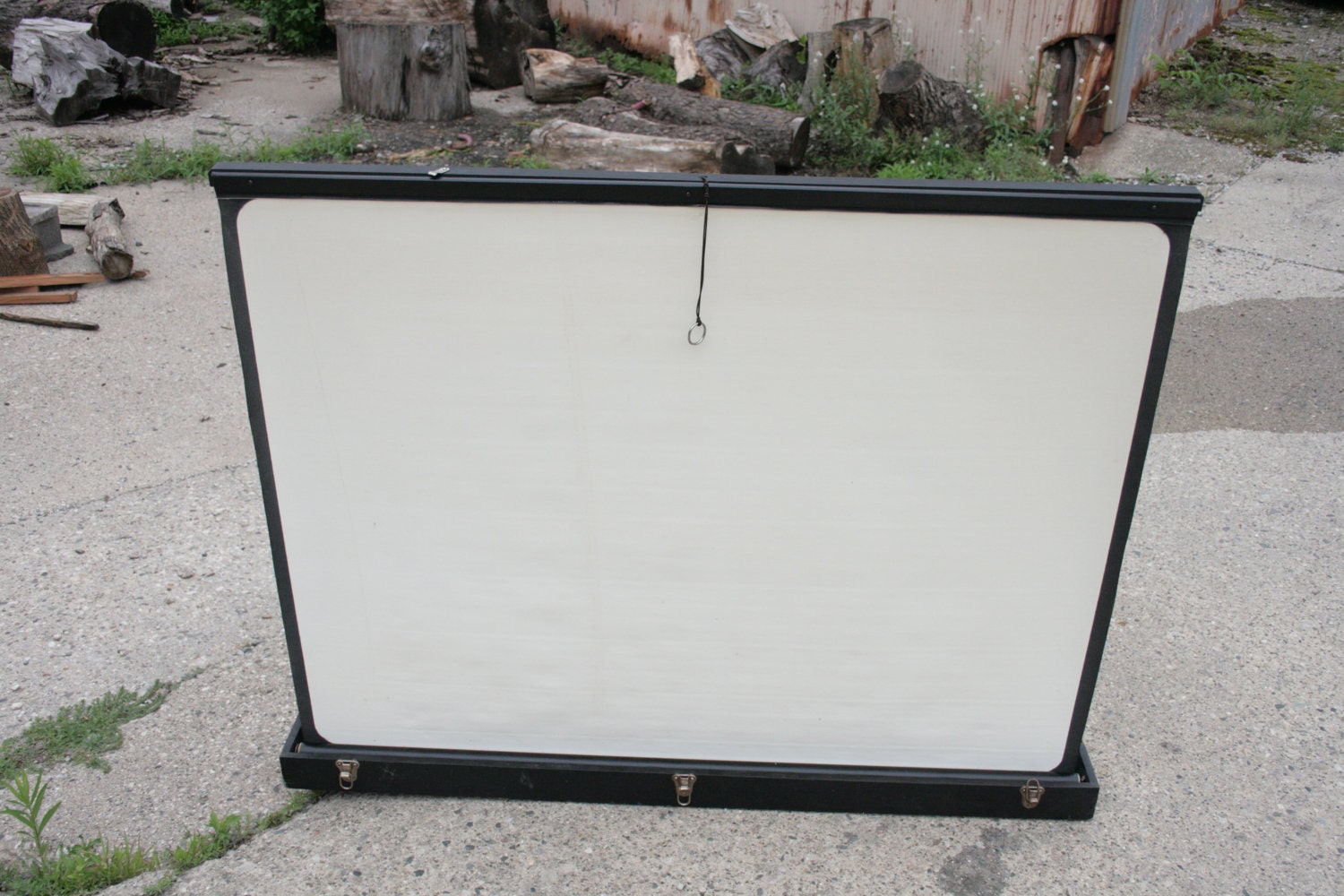 Vintage Projector Screen