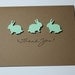 Thank You Cards- Baby Shower Bunnies- Set of 10