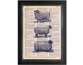 3 Farm Sheep printed on Recycled Vintage Dictionary Paper - 8x10.5