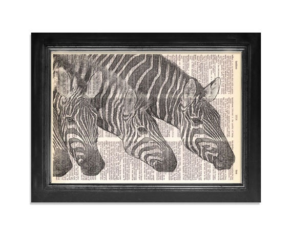 Amazing Zebras