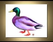 Duck Art Print - Bird Art 8x10 - Duck Painting