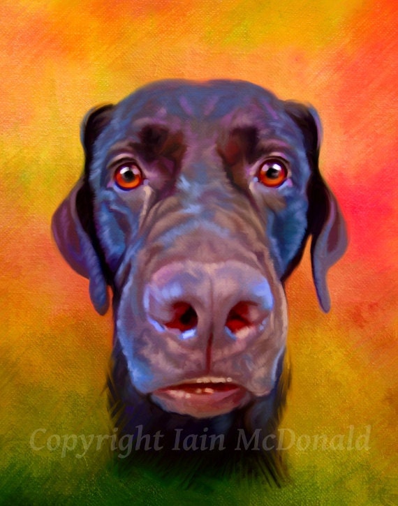 Custom Pet Portrait - your pet, my crazy RISK FREE portrait offer