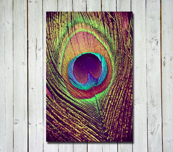 Peacock photograph - peacock wall art - metallic print - peacock decor - whimsical - colorful fine art print - peacock feather - 8x12 - RetroLovePhotography Peacock photograph - peacock wall art - metallic print - peacock decor - whimsical - colorful fine art print - peacock feather - 8x12 - RetroLovePhotography