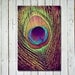 Peacock photograph - peacock wall art - metallic print - peacock decor - whimsical - colorful fine art print - peacock feather - 8x12