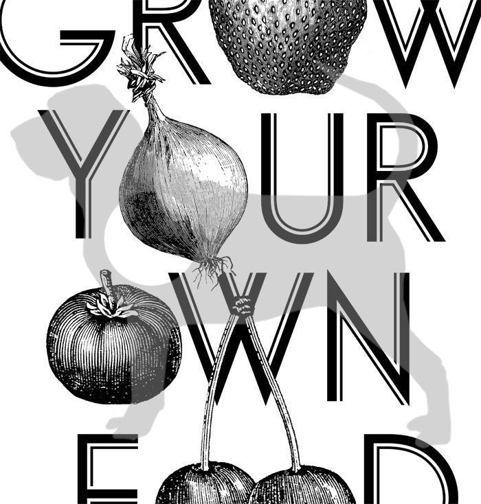 Grow Your Own Food Women's Poly Cotton T-Shirt by American Apparel (S M L XL) Choose Your Shirt and Ink Colors