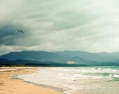 Beach photography -  fine art photography print 5x5 - vintage inspired fine art ocean photography seagull bird "In Flight" -  clickety