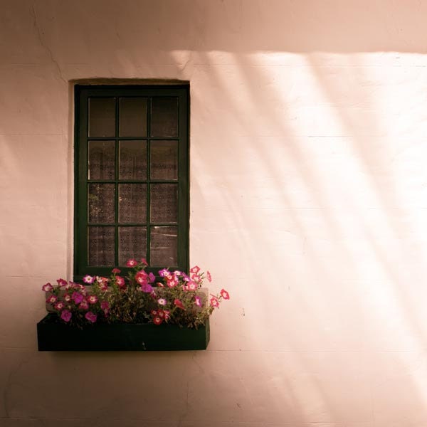 Art print fine art photography 8x8 vintage inspired - pastel pink vintage window flower box photo botanical "Shadowbox" clickety