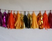 Serengeti Sunset Tassel Garland