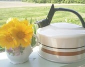Danish modern mid-century aluminum teapot-vintage teapot made by Regal