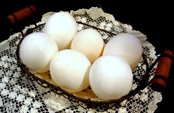 Duck Eggs 6 Hand-Blown White Pekin Half Dozen Pysanky Easter Egg Christmas Holiday Crafts