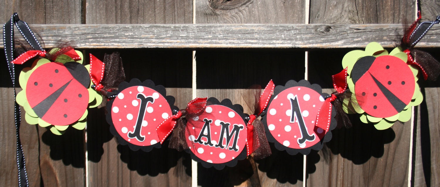 Ladybug I am one Highchair Banner and Party Hat Happy Birthday Baby Shower Il_570xn