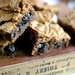 Butterscotch Maple Whole Wheat Blondies With Raisins