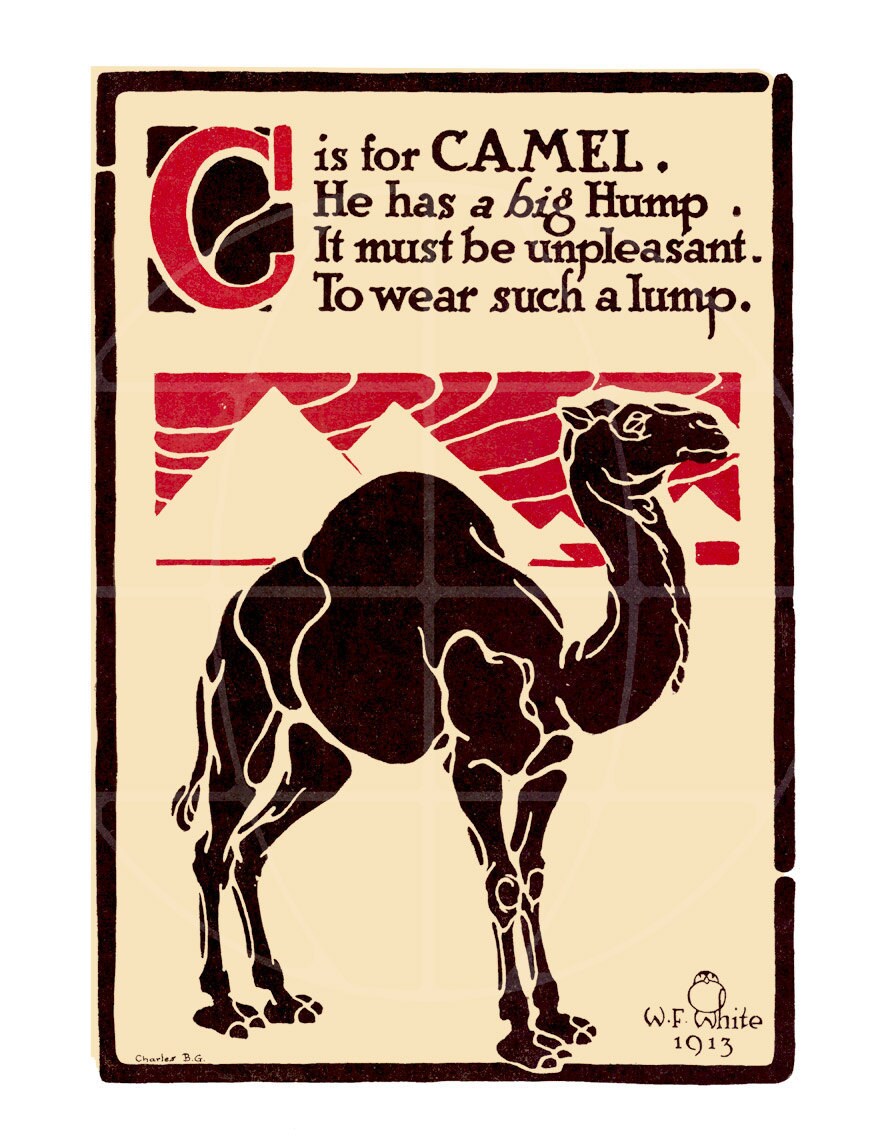 Camel Vintage