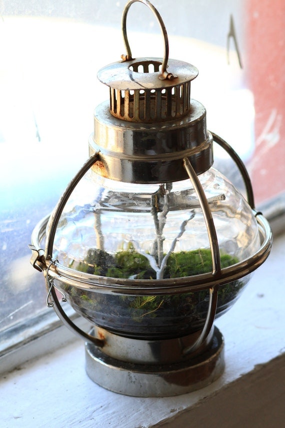 Forest Globe Lantern - Living Terrarium and Miniature Sculpture
