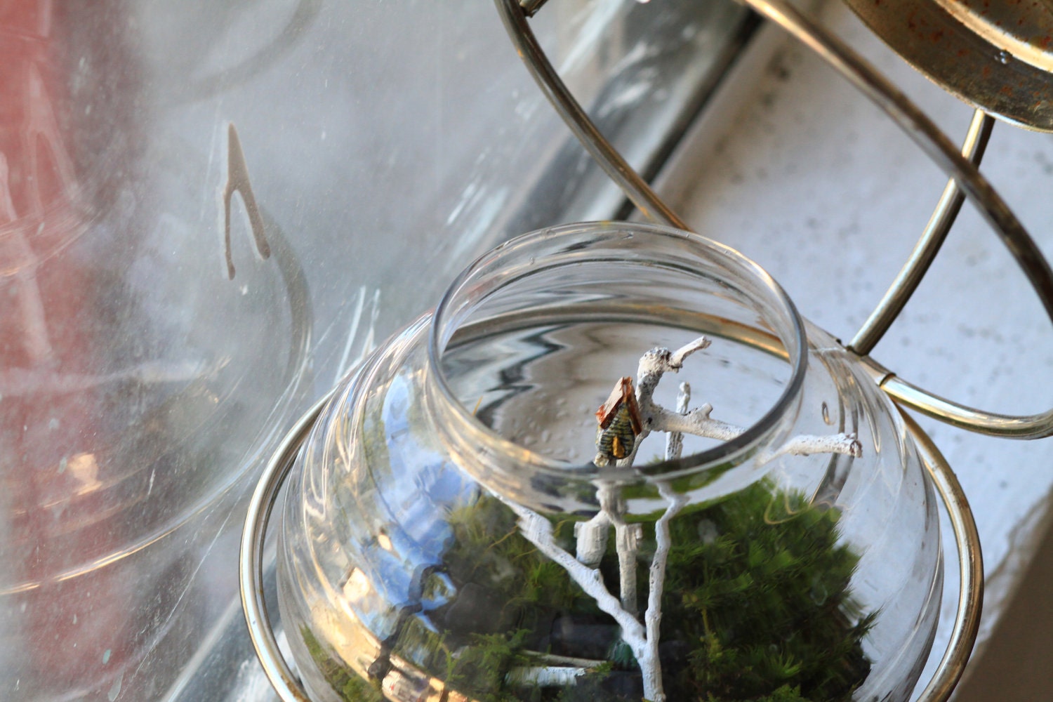 Forest Globe Lantern - Living Terrarium and Miniature Sculpture