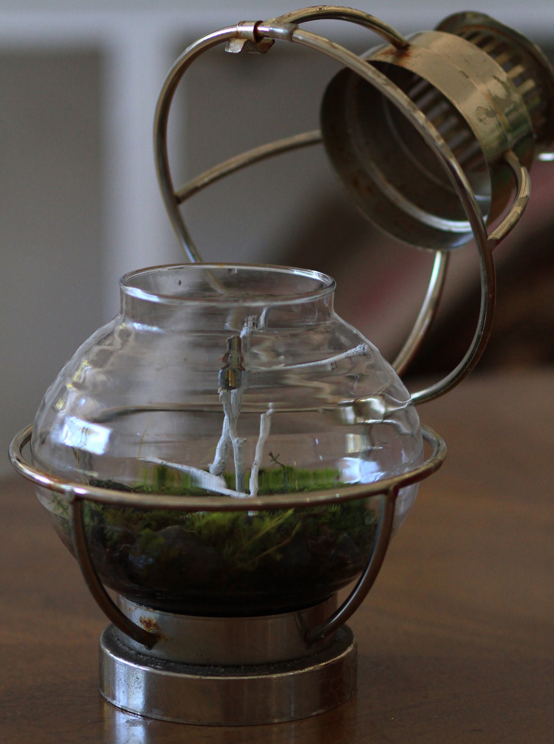 Forest Globe Lantern - Living Terrarium and Miniature Sculpture
