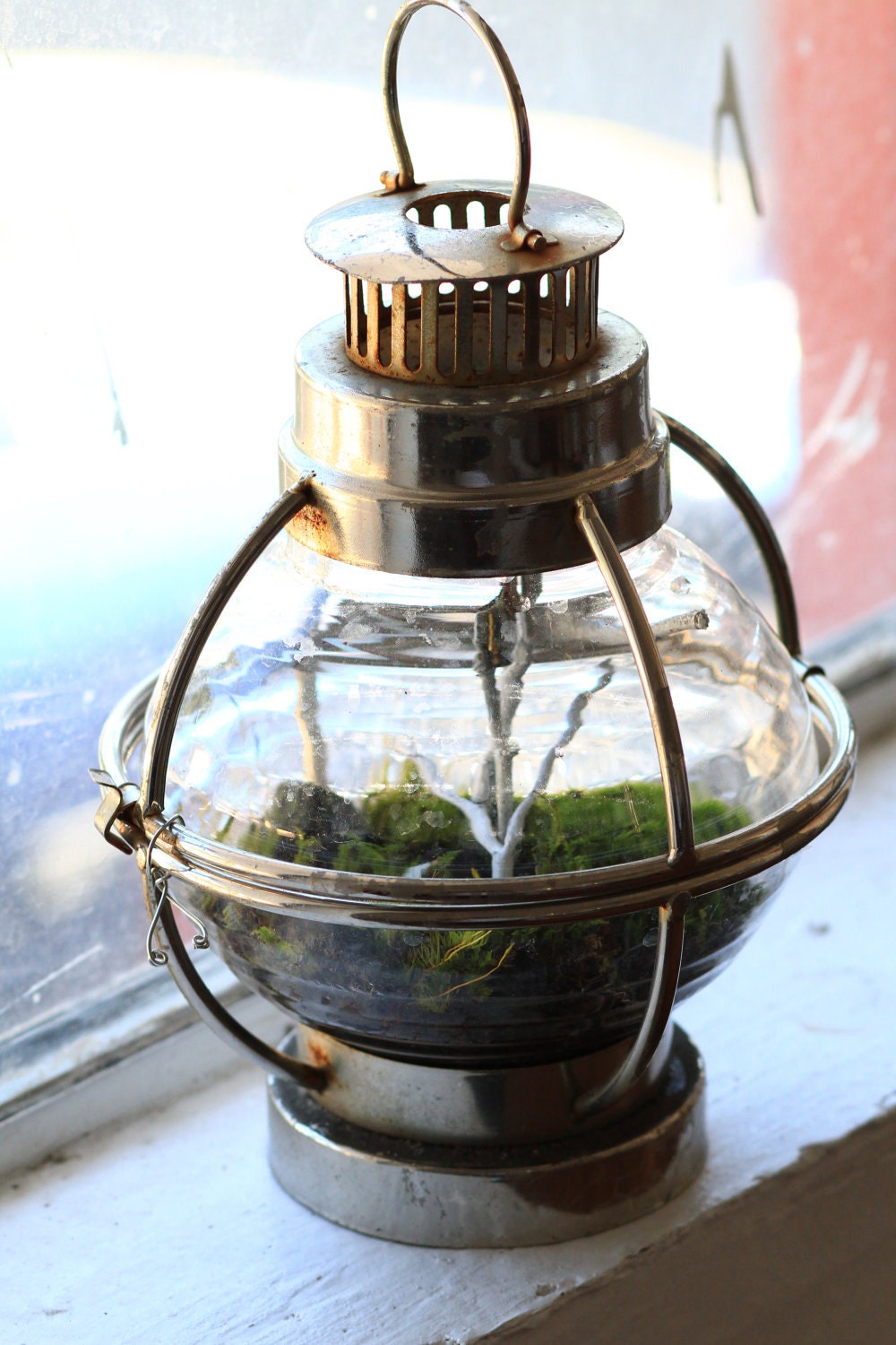 Forest Globe Lantern - Living Terrarium and Miniature Sculpture