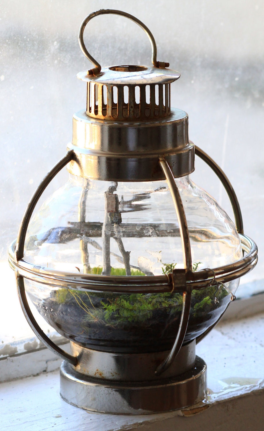 Forest Globe Lantern - Living Terrarium and Miniature Sculpture