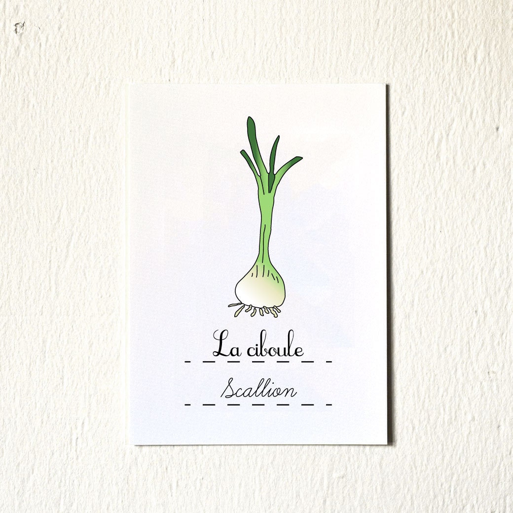 Kitchen Art 'Scallion' vegetable Food Art Print 5x7 GeraldineAdams culinary Green Botanical Gift