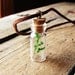Necklace - Baby Tree in Miniature Jar on Leather Cord - For Him or Her