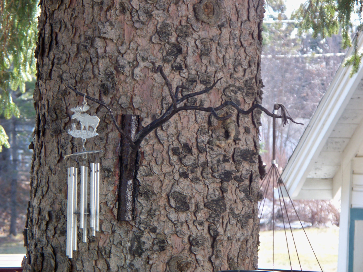 Decorative branch plant hanger