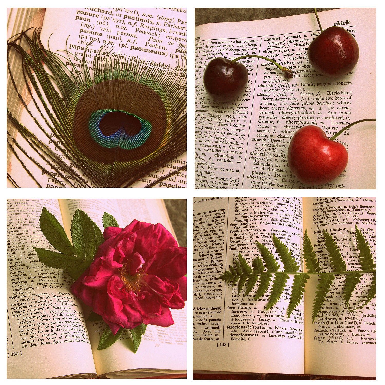 FREE US SHIPPING French Dictionary Pages Notecards - Four 4 X 4 Photos on 7 X 5 Cardstock - Hostess Gift