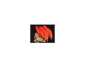25 Bhutt ghost Pepper Seeds-1037