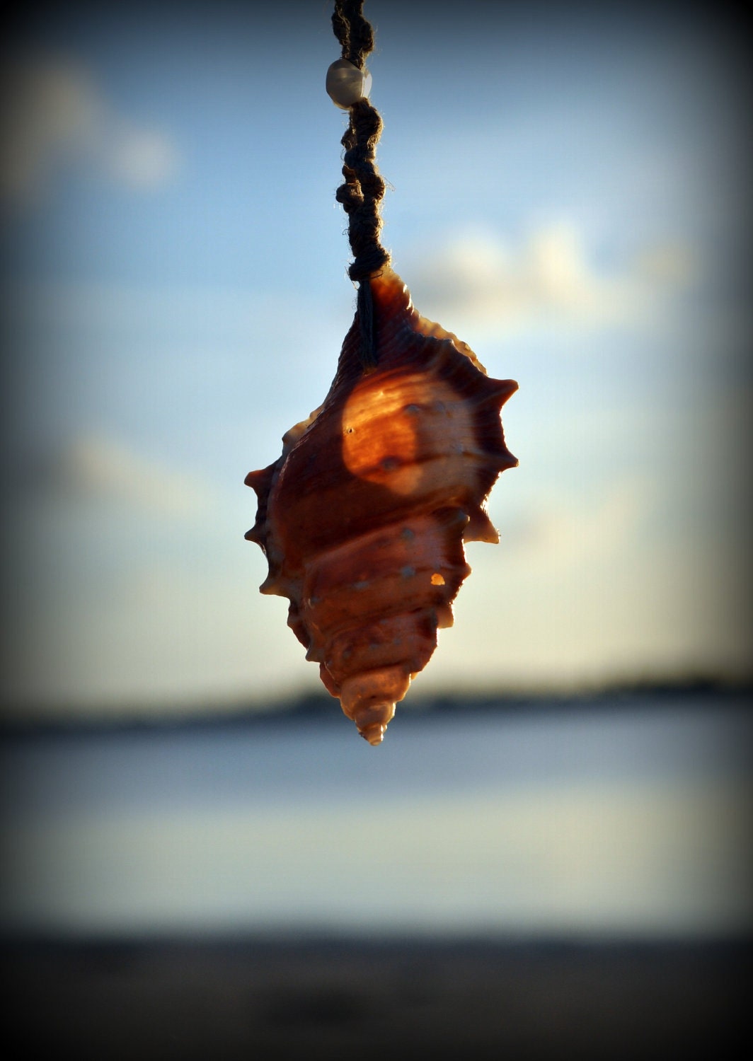 Bursidae Sea Shell Necklace